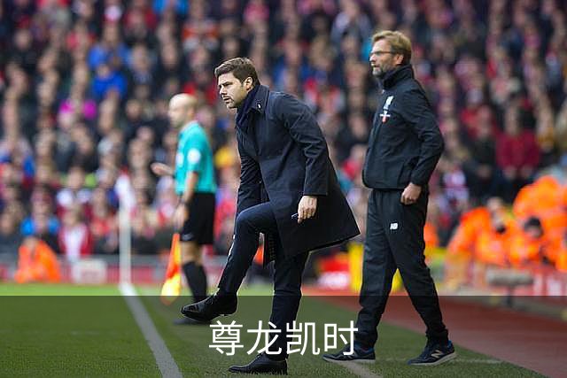 尊龙凯时公司介绍图